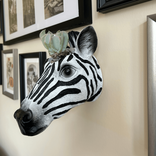 Zebra head planter