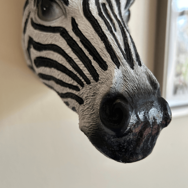 Zebra Head planter